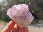 Natural Amethyst Spirit Quartz Clusters x 6 From Boekenhouthoek, South Africa - Toprock Gemstones and Minerals 