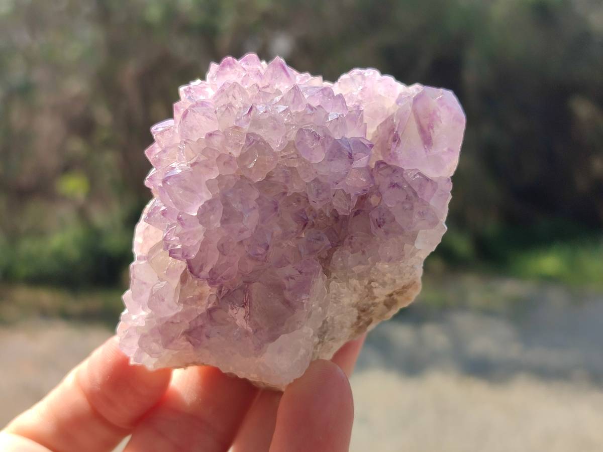 Natural Amethyst Spirit Quartz Clusters x 6 From Boekenhouthoek, South Africa - Toprock Gemstones and Minerals 