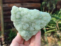 Natural Botryoidal Prehnite Specimens x 2 From Beaufort West, South Africa