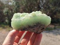 Natural Botryoidal Prehnite Specimens x 2 From Beaufort West, South Africa
