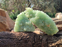 Natural Botryoidal Prehnite Specimens x 2 From Beaufort West, South Africa