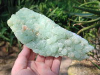Natural Botryoidal Prehnite Specimens x 2 From Beaufort West, South Africa