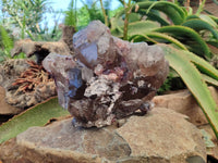 Natural Smokey Window Quartz Specimen x 1 From Malawi