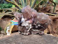 Natural Smokey Window Quartz Specimen x 1 From Malawi
