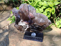 Natural Smokey Window Quartz Specimen x 1 From Malawi