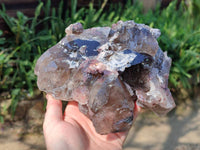 Natural Smokey Window Quartz Specimen x 1 From Malawi