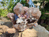 Natural Smokey Window Quartz Specimen x 1 From Malawi