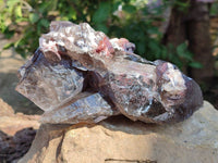 Natural Smokey Window Quartz Specimen x 1 From Malawi