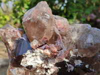 Natural Smokey Window Quartz Specimen x 1 From Malawi