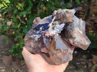 Natural Smokey Window Quartz Specimen x 1 From Malawi