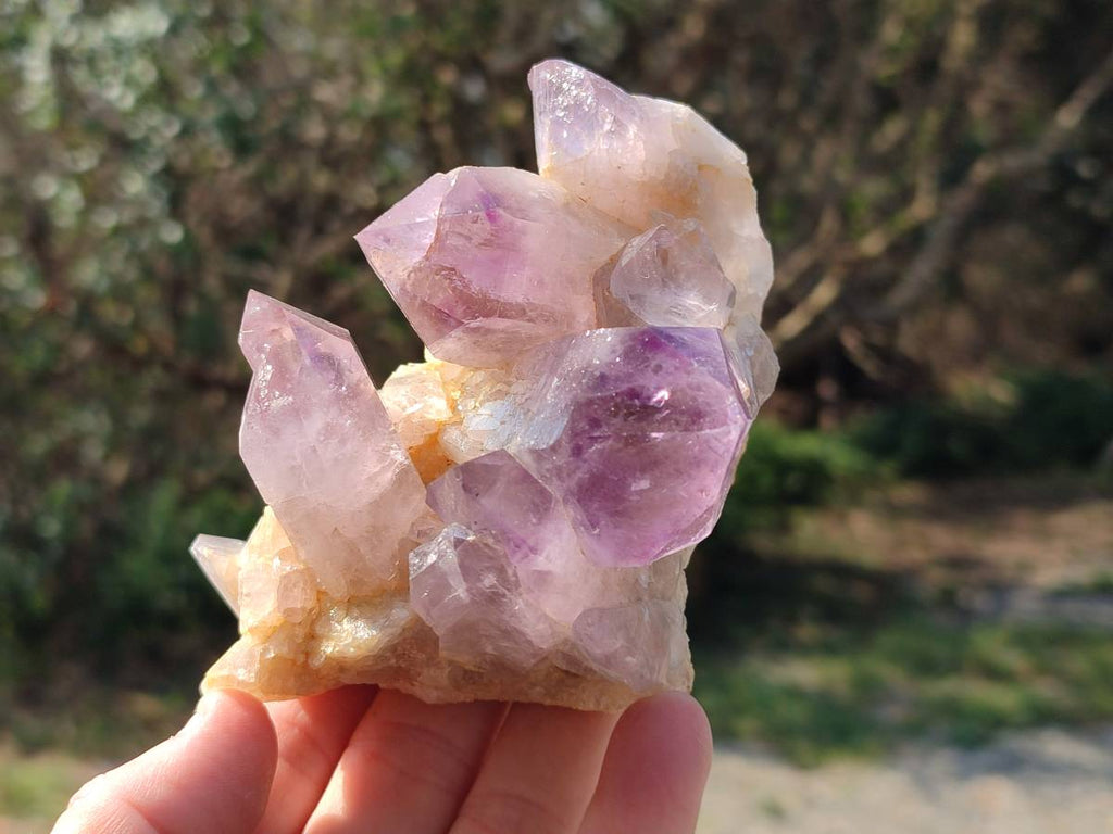 Natural Jacaranda Amethyst Quartz Crystals x 6 From Mumbwa, Zambia - Toprock Gemstones and Minerals 