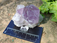 Natural Jacaranda Amethyst Quartz Crystals x 6 From Mumbwa, Zambia
