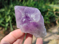 Natural Jacaranda Amethyst Quartz Crystals x 6 From Mumbwa, Zambia
