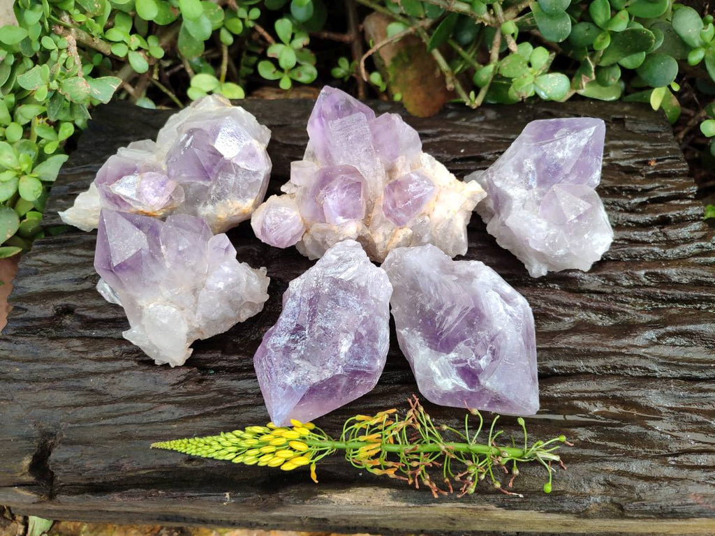 Natural Jacaranda Amethyst Quartz Crystals x 6 From Mumbwa, Zambia - Toprock Gemstones and Minerals 