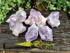 Natural Jacaranda Amethyst Quartz Crystals x 6 From Mumbwa, Zambia - Toprock Gemstones and Minerals 