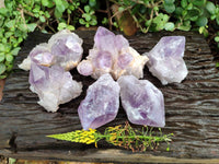 Natural Jacaranda Amethyst Quartz Crystals x 6 From Mumbwa, Zambia