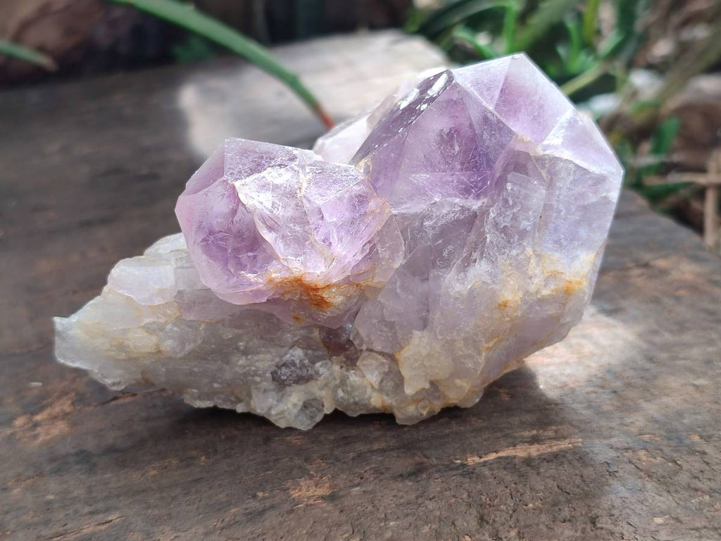 Natural Jacaranda Amethyst Quartz Crystals x 6 From Mumbwa, Zambia - Toprock Gemstones and Minerals 