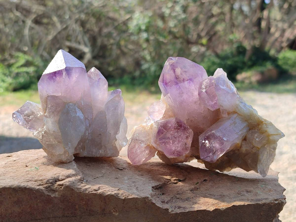 Natural Jacaranda Amethyst Quartz Crystals x 6 From Mumbwa, Zambia - Toprock Gemstones and Minerals 