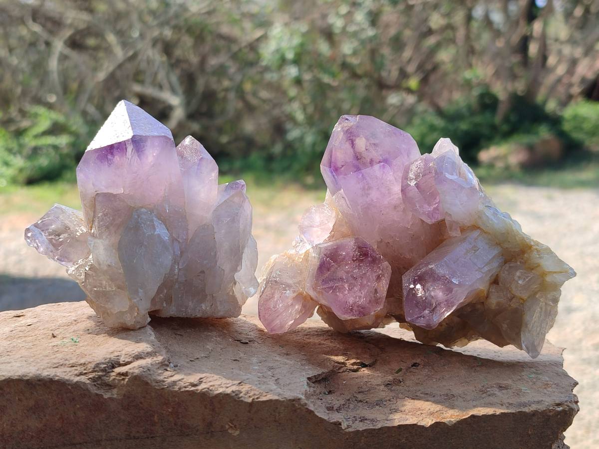 Natural Jacaranda Amethyst Quartz Crystals x 6 From Mumbwa, Zambia - Toprock Gemstones and Minerals 