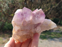 Natural Jacaranda Amethyst Quartz Crystals x 6 From Mumbwa, Zambia