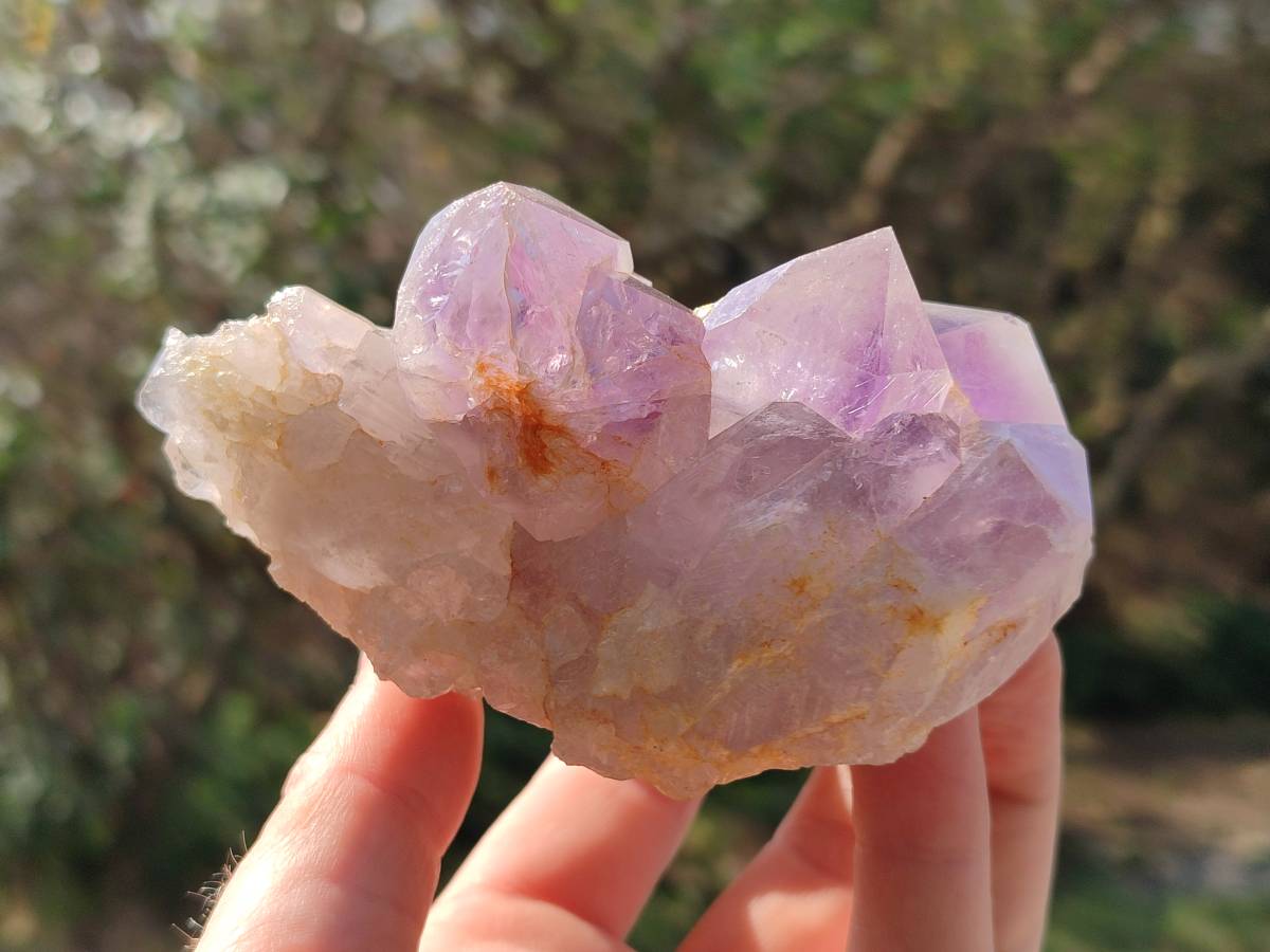 Natural Jacaranda Amethyst Quartz Crystals x 6 From Mumbwa, Zambia - Toprock Gemstones and Minerals 