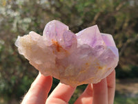 Natural Jacaranda Amethyst Quartz Crystals x 6 From Mumbwa, Zambia