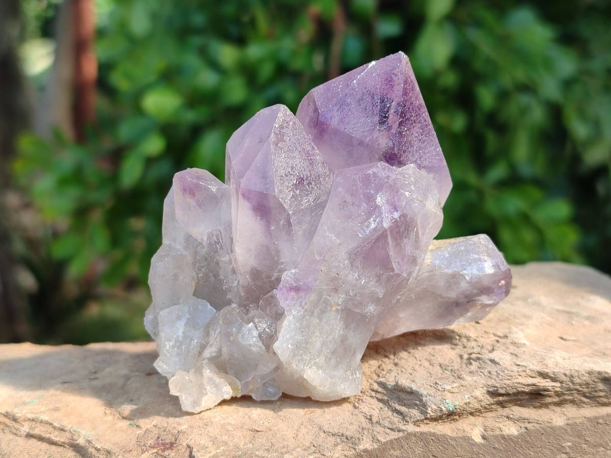 Natural Jacaranda Amethyst Quartz Crystals x 6 From Mumbwa, Zambia - Toprock Gemstones and Minerals 