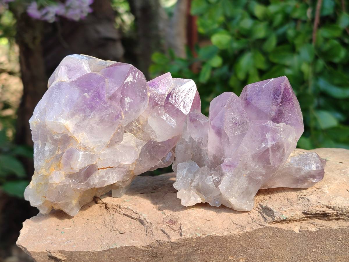 Natural Jacaranda Amethyst Quartz Crystals x 6 From Mumbwa, Zambia - Toprock Gemstones and Minerals 