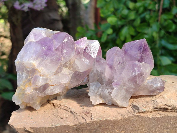 Natural Jacaranda Amethyst Quartz Crystals x 6 From Mumbwa, Zambia
