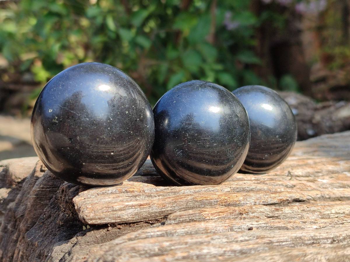Polished Black Basalt Palm Stone x 12 From Antsirabe, Madagascar - Toprock Gemstones and Minerals 