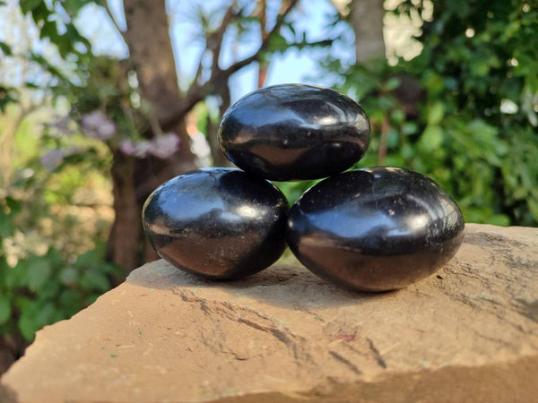 Polished Black Basalt Palm Stone x 12 From Antsirabe, Madagascar