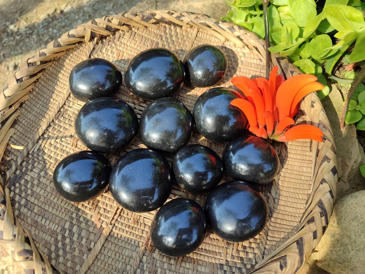 Polished Black Basalt Palm Stone x 12 From Antsirabe, Madagascar - Toprock Gemstones and Minerals 