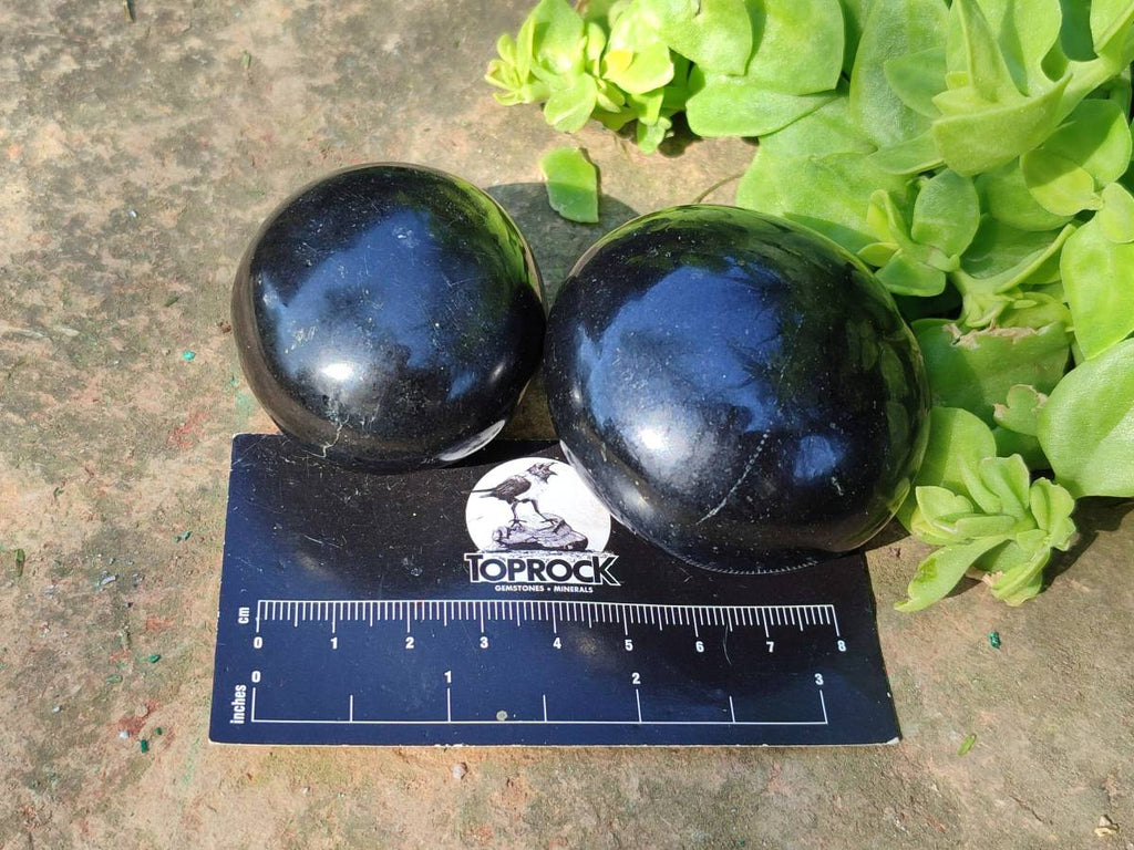 Polished Black Basalt Palm Stone x 12 From Antsirabe, Madagascar - Toprock Gemstones and Minerals 