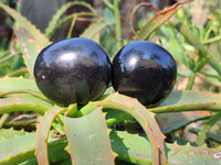 Polished Black Basalt Palm Stone x 12 From Antsirabe, Madagascar