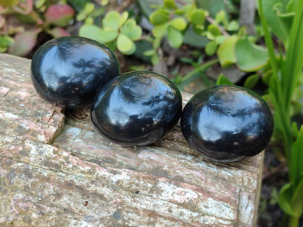 Polished Black Basalt Palm Stone x 12 From Antsirabe, Madagascar - Toprock Gemstones and Minerals 