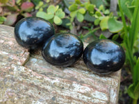 Polished Black Basalt Palm Stone x 12 From Antsirabe, Madagascar