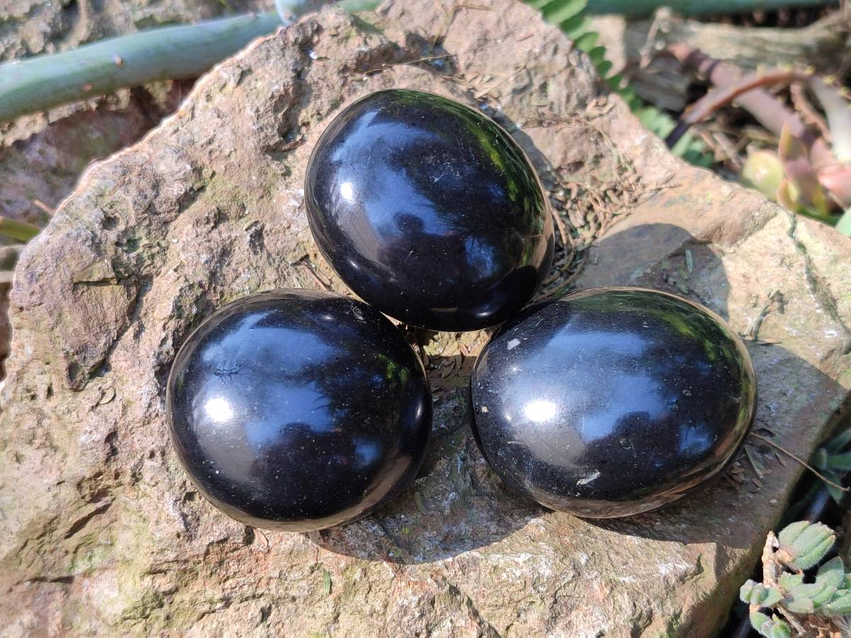Polished Black Basalt Palm Stone x 12 From Antsirabe, Madagascar - Toprock Gemstones and Minerals 