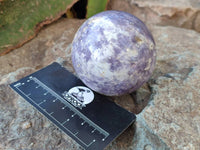 Polished Lepidolite With Pink Rubellite Spheres x 4 From Ambatondrazaka, Madagascar