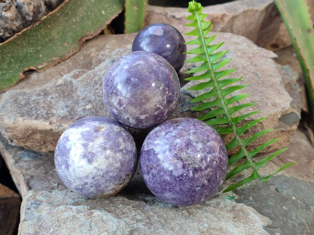 Polished Lepidolite With Pink Rubellite Spheres x 4 From Ambatondrazaka, Madagascar - Toprock Gemstones and Minerals 