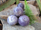 Polished Lepidolite With Pink Rubellite Spheres x 4 From Ambatondrazaka, Madagascar - Toprock Gemstones and Minerals 