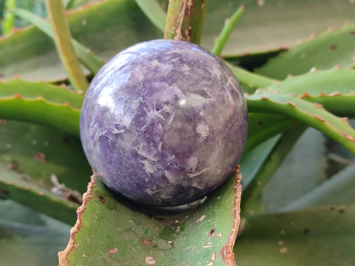 Polished Lepidolite With Pink Rubellite Spheres x 4 From Ambatondrazaka, Madagascar - Toprock Gemstones and Minerals 