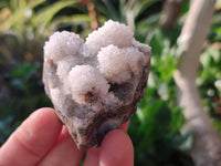 Natural Drusy Quartz Coated Calcite Pseudomorph Specimens x 12 From Alberts Mountain, Lesotho