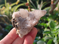 Natural Drusy Quartz Coated Calcite Pseudomorph Specimens x 12 From Alberts Mountain, Lesotho