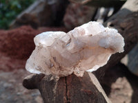 Natural Drusy Quartz Coated Calcite Pseudomorph Specimens x 12 From Alberts Mountain, Lesotho
