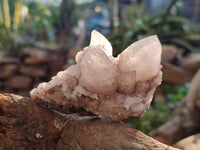 Natural Drusy Quartz Coated Calcite Pseudomorph Specimens x 12 From Alberts Mountain, Lesotho