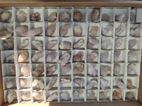 Natural Amethyst Spirit Quartz Crystals x 70 From Boekenhouthoek, South Africa