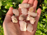 Natural Amethyst Spirit Quartz Crystals x 70 From Boekenhouthoek, South Africa