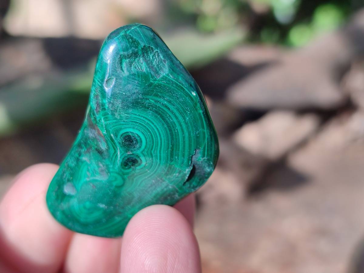 Polished Flower Banded Malachite Free Forms x 35 From Congo - Toprock Gemstones and Minerals 