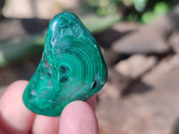 Polished Flower Banded Malachite Free Forms x 35 From Congo