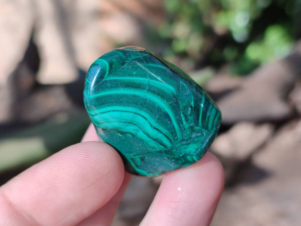 Polished Flower Banded Malachite Free Forms x 35 From Congo - Toprock Gemstones and Minerals 